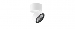 Ceiling Mounted - SD10-S-15W